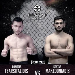the honor of fighters 8